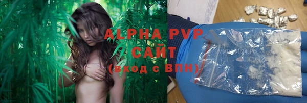spice Абаза