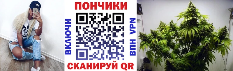 omg сайт  Тырныауз  Канабис Bruce Banner 